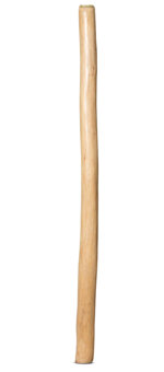 Medium Size Natural Finish Didgeridoo (TW1243)